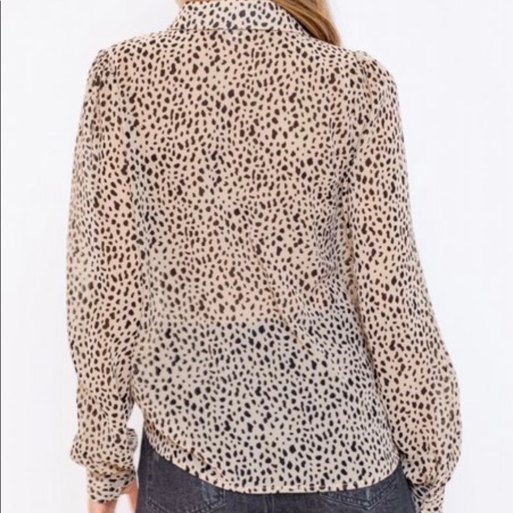 LEOPARD - Picture 4 of 6